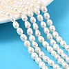 Natural Cultured Freshwater Pearl Beads Strands PEAR-I007-01B-04B-1