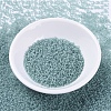 MIYUKI Delica Beads SEED-MY11-DB0385-2