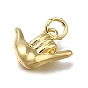 Brass Pendants LS-ZIRC-I070-019G-2