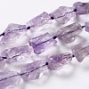 Rough Raw Natural Amethyst Beads Strands G-G010-09-1