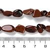 Natural Mahogany Obsidian Beads Strands G-P497-01C-05-5