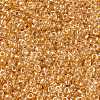 MIYUKI Round Rocailles Beads SEED-JP0010-RR0234-3