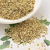 MIYUKI Delica Beads SEED-X0054-DB0034-1