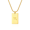 Stylish Stainless Steel 12 Zodiac Rectangle Pendant Necklaces for women GA2858-12-1