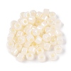 Glass Seed Beads SEED-T008-01B-2