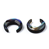 Natural Abalone Shell/Paua Shell Beads SSHEL-N034-122B-01-3