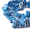 Dyed Natural Trochus Shell Beads Strands SSHEL-C013-09F-3