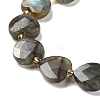 Natural Labradorite Beads Strands G-B044-B21-01-4
