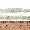 Natural Prehnite Beads Strands G-I389-A19-5