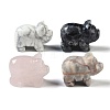 Natural Mixed Gemstone Carved Pig Figurines DJEW-M015-03-1