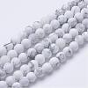 Natural Howlite Beads Strands G-T055-8mm-02-1