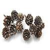 Wood Artificial Pine Cone HULI-PW0002-034F-1