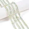 Natural Prehnite Beads Strands G-N342-125-4