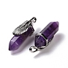 Natural Amethyst Pendants G-E059-04AS-04-3