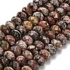 Natural Leopard Skin Jasper Beads Strands G-Z111-A23-3