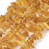 Natural Amber Beads Strands G-L095-D01-03-2