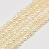 Grade AA Natural Cultured Freshwater Pearl Beads Strands PEAR-L003-C-03-01-1