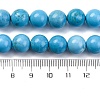 Dyed Natural Magnesite Beads Strands G-P558-A01-01A-5