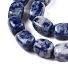 Natural Blue Spot Jasper Beads Strands G-T138-101-3