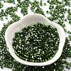 Glass Seed Beads SEED-M011-01B-12-3