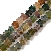 Natural Indian Agate Beads Strands G-G085-B11-01-1