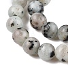 Natural Sesame Jasper/Kiwi Jasper Bead Strands G-R345-6mm-36-4