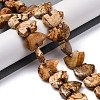 Natural Picture Jasper Beads Strands G-F783-G03-01-2