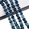 Natural Agate Beads Strands G-Q606-42B-B02-1