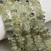Natural Prehnite Beads Strands GG-CBAC61B-C02-01-1