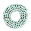 Synthetic Turquoise Beads Strands G-U004-02Q-3