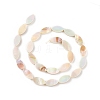 Natural Freshwater Shell Beads Strands SHEL-T009-22-3