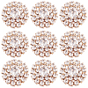 AHADERMAKER 30Pcs Alloy Rhinestone Cabochons ALRI-GA0001-09KCG-1