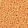 6/0 Glass Seed Beads X1-SEED-L011-08A-19-3