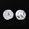Transparent Acrylic and Glitter Powder Beads TACR-T028-66B-2