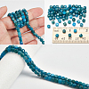 Natural Apatite Beads Strands G-NB0005-74-4