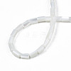 Natural Freshwater Shell Beads Strands SHEL-N003-26-A01-4