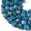 Natural Apatite Beads Strands GG-CBABD99-06-4