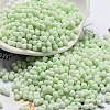 Macaron Color Opaque Frosted Glass Seed Beads X1-SEED-K009-12B-06-1