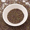MIYUKI Delica Beads SEED-X0054-DB0029-2