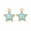 Alloy Enamel Charms ENAM-S121-024F-2