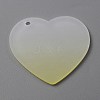 Gradient Transparent Acrylic Disc Big Pendants LS-FIND-WH0032-54F-1