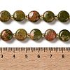 Natural Unakite Beads Strands G-H005-B11-01-5
