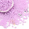 Baking Paint Glass Seed Beads SEED-L011-09A-10-1