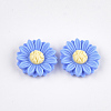 Resin Cabochons CRES-T010-60D-1