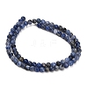 Natural South Africa Sodalite Beads Strands LS-G-S259-35-4mm-5