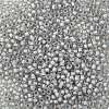 TOHO Round Seed Beads SEED-TR08-0261-2