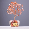 Natural Carnelian Sculpture Display Decorations PW-WG149A9-06-1