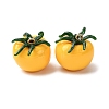 Imitation Vegetable Resin Pendants RESI-K033-03B-01-1