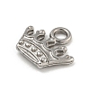 Non-Tarnish 304 Stainless Steel Charms STAS-N103-98P-2