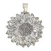 Tibetan Style Alloy Big Pendants FIND-D037-02AS-02-1